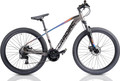 Geared Cycles